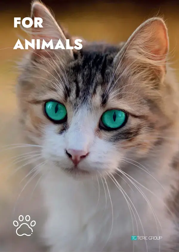 Concept catalogo biotecnologie