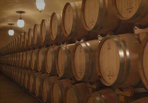 Video Progetto Arte Poli - Cà dei Frati